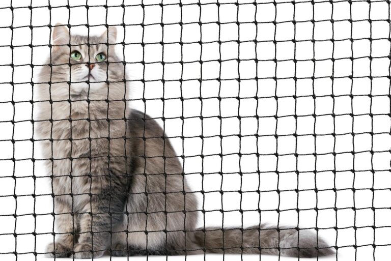 Top-Rated Cat Safety Nets According to Pet Owners